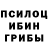 Псилоцибиновые грибы Psilocybe Ali Awis