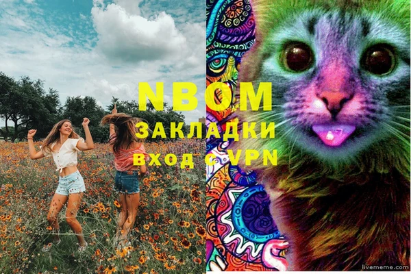 гашик Алзамай